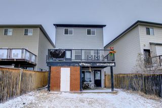 Photo 38: 262 Covemeadow Crescent NE in Calgary: Coventry Hills Detached for sale : MLS®# A1182872