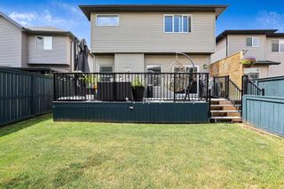 Photo 47: 1091 Brightoncrest Green SE in Calgary: New Brighton Detached for sale : MLS®# A2059112