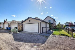 Photo 50: 44 CRANBERRY Way SE in Calgary: Cranston Detached for sale : MLS®# A1029590