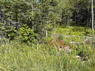 Photo 2: Lot 21-2 Alma Road in Loch Broom: 108-Rural Pictou County Vacant Land for sale (Northern Region)  : MLS®# 202120252