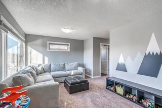 Photo 19: 34 Walden Court SE in Calgary: Walden Detached for sale : MLS®# A1179380