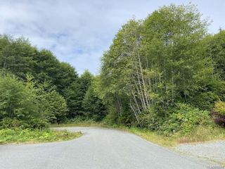 Photo 5: 0 Harbour Rd in Port Hardy: NI Port Hardy Land for sale (North Island)  : MLS®# 932214