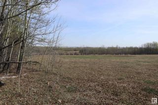 Photo 3: Pt NW-31-46 -1-W5: Rural Wetaskiwin County Vacant Lot/Land for sale : MLS®# E4368899