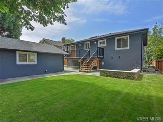 Photo 16: 3119 Somerset St in VICTORIA: Vi Mayfair House for sale (Victoria)  : MLS®# 732616