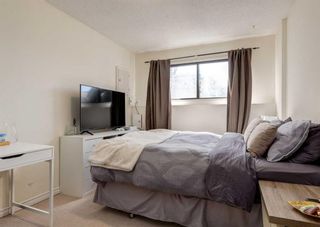 Photo 17: 624 Bracewood Drive SW in Calgary: Braeside Semi Detached (Half Duplex) for sale : MLS®# A2126409