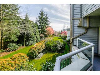 Photo 16: 202 7326 ANTRIM Avenue in Burnaby: Metrotown Condo for sale in "SOVEREIGN MANOR" (Burnaby South)  : MLS®# V1115061
