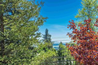 Photo 34: 32969 BEST Avenue in Mission: Mission BC House for sale : MLS®# R2876928