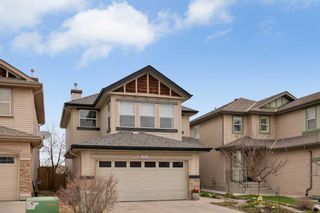 Photo 39: 176 Royal Oak Heights NW in Calgary: Royal Oak Detached for sale : MLS®# A2129325