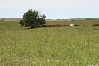 Main Photo: Ann Weekes Land in Biggar: Farm for sale (Biggar Rm No. 347)  : MLS®# SK894553