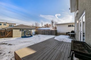 Photo 39: 1410 38 Street SW in Calgary: Rosscarrock Detached for sale : MLS®# A2019684