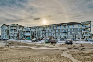 Photo 3: 1118 1140 Taradale Drive NE in Calgary: Taradale Apartment for sale : MLS®# A2033115