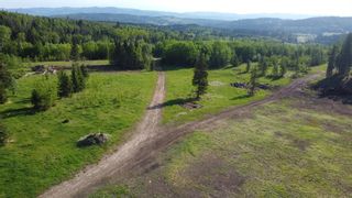 Photo 8: SW 40 Acres off Range Road 70 in Rural Bighorn No. 8, M.D. of: Rural Bighorn M.D. Residential Land for sale : MLS®# A1115931