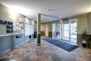 Photo 18: 1212 4975 130 Avenue SE in Calgary: McKenzie Towne Apartment for sale : MLS®# A2105141