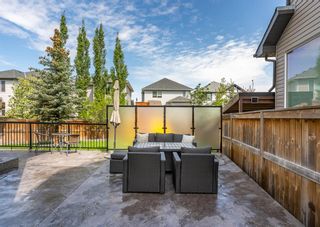 Photo 12: 157 Brightonwoods Grove SE in Calgary: New Brighton Detached for sale : MLS®# A2045525