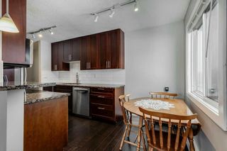 Photo 8: 412A 4455 Greenview Drive NE in Calgary: Greenview Apartment for sale : MLS®# A2124113