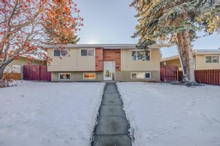 Photo 1: 3421 19 Avenue SE in Calgary: Southview Detached for sale : MLS®# A2019287