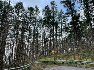 Photo 8: 1860 LIGHTHOUSE Lane: Bowen Island Land for sale in "The Cape on Bowen" : MLS®# R2665276