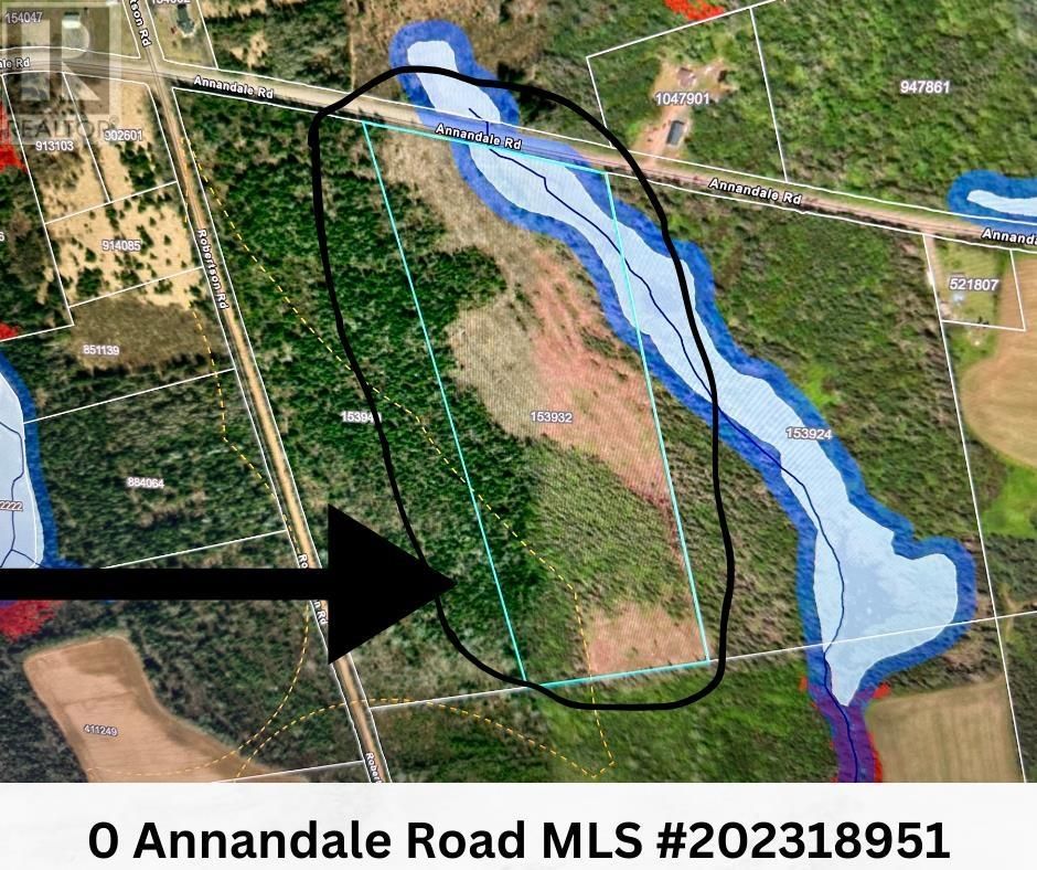 Main Photo: 0 Annandale Road|Poplar Point in Annandale: Vacant Land for sale : MLS®# 202318951