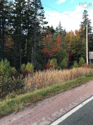 Photo 1: VL 366 Highway in Tidnish: 102N-North Of Hwy 104 Vacant Land for sale (Northern Region)  : MLS®# 202125723