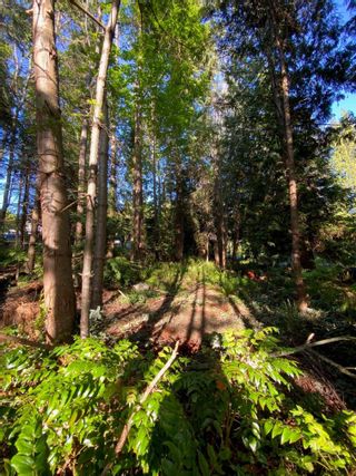 Photo 29: Lot B GRANDVIEW Road in Gibsons: Gibsons & Area Land for sale (Sunshine Coast)  : MLS®# R2860061