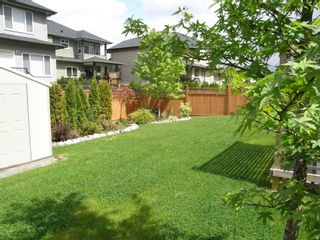 Photo 6: 12473 201ST STREET in MCIVOR MEADOWS: Home for sale