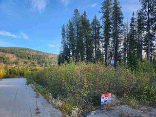 Photo 3: #LT.21 BUCK ROAD in No City Value: FVREB Out of Town Land for sale in "Baldy Mountain Resort" : MLS®# R2732809