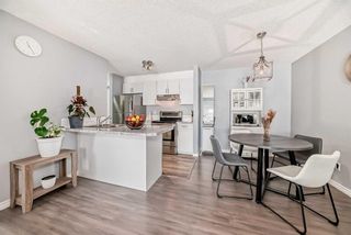 Photo 2: 202 5555 Falsbridge Drive NE in Calgary: Falconridge Apartment for sale : MLS®# A2118008