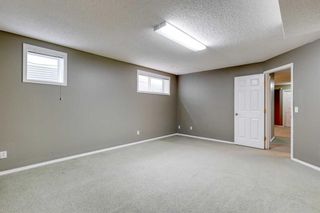 Photo 29: 25 Martha's Green NE in Calgary: Martindale Detached for sale : MLS®# A2129455