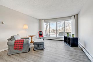 Photo 5: 511 8948 Elbow Drive SW in Calgary: Haysboro Apartment for sale : MLS®# A2019611