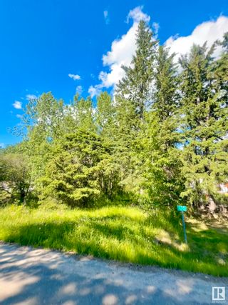Photo 11: 120 Idle Hours Drive: Rural Barrhead County Vacant Lot/Land for sale : MLS®# E4393943