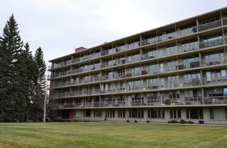 Photo 25: 701 3339 Rideau Place SW in Calgary: Rideau Park Apartment for sale : MLS®# A1161440