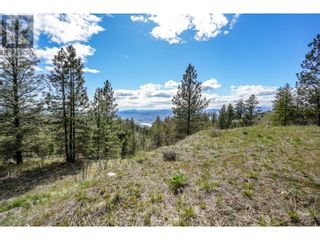 Photo 15: 222 Grizzly Place in Osoyoos: Vacant Land for sale : MLS®# 10310334