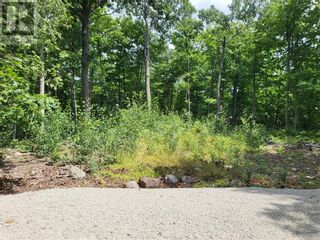 Photo 11: N/A Hwy 542 in Mindemoya: Vacant Land for sale : MLS®# 2112282