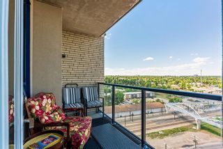 Photo 9: 1317 8710 Horton Road SW in Calgary: Haysboro Apartment for sale : MLS®# A1157213