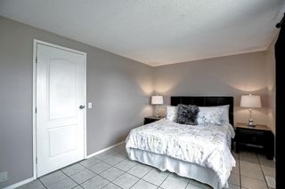 Photo 11: 74 Falsby Court NE in Calgary: Falconridge Semi Detached (Half Duplex) for sale : MLS®# A2014192