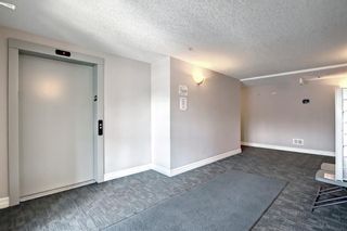 Photo 30: 118 8200 4 Street NE in Calgary: Beddington Heights Apartment for sale : MLS®# A1231279