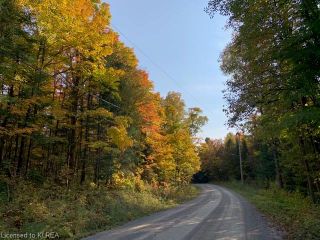 Photo 15: LOT 11 CON 1 Laxton Road in Kirkfield: Laxton/Digby/Longford (Twp) Residential for sale (Kawartha Lakes)  : MLS®# 40335245