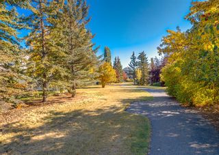 Photo 47: 250 Riverview Circle SE in Calgary: Riverbend Detached for sale : MLS®# A2002243
