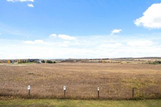 Photo 49: 290099 1016 Drive E: Rural Foothills County Detached for sale : MLS®# A2088806