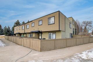 Photo 38: 142 3809 45 Street SW in Calgary: Glenbrook Row/Townhouse for sale : MLS®# A1176807