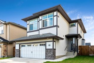 Photo 1: 16 Walden Court SE in Calgary: Walden Detached for sale : MLS®# A1220305