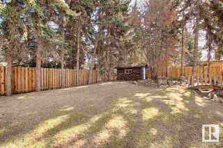 Photo 12: 12 QUESNELL Road in Edmonton: Zone 22 House for sale : MLS®# E4322957