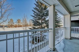 Photo 20: 211 35 Richard Court SW in Calgary: Lincoln Park Apartment for sale : MLS®# A2033165
