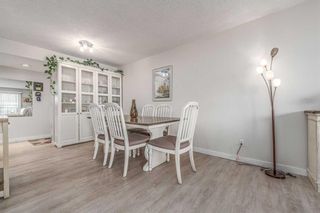 Photo 7: 27B 231 Heritage Drive SE in Calgary: Acadia Apartment for sale : MLS®# A2077886