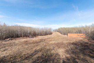 Photo 18: 50251 Rge. Rd. 25 in Rural Vermilion River, County of: Rural Vermilion River County Residential Land for sale : MLS®# A2107926