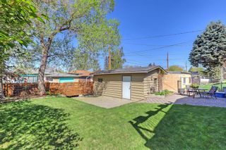 Photo 39: 2203 35 Street SE in Calgary: Southview Detached for sale : MLS®# A2050129