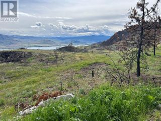Photo 6: N/A DL3557S in Osoyoos: Vacant Land for sale : MLS®# 10312886