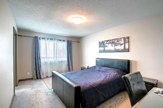 Photo 22: 156 Nolanfield Way NW in Calgary: Nolan Hill Detached for sale : MLS®# A2048088