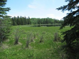 Photo 44: 351035A Range Road 61: Rural Clearwater County Detached for sale : MLS®# C4297657