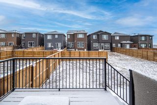Photo 31: 18 Belmont Gardens SW in Calgary: Belmont Detached for sale : MLS®# A2042011